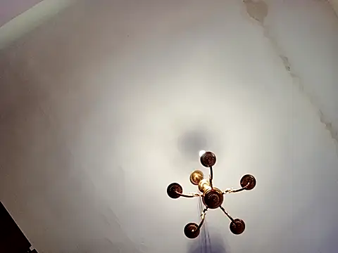 katymojadit online show from March 13, 1:29 pm