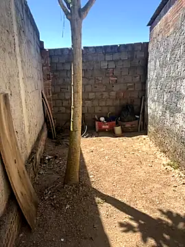 king cum  online show from November 5, 12:05 pm