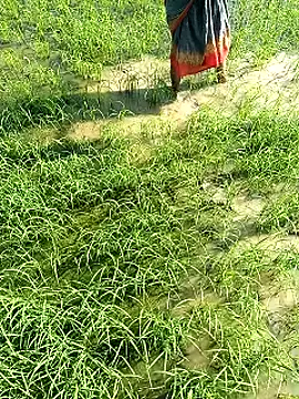 hairipussy2 online show from February 7, 3:55 am