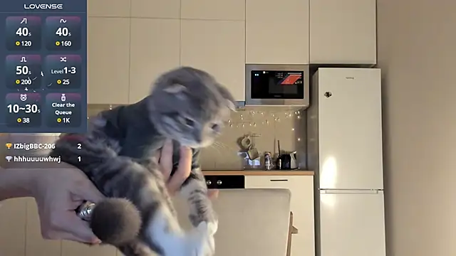 fairy di online show from December 23, 12:46 am