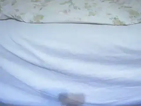 Tiger202441 online show from February 12, 11:41 pm