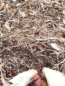 murokkk31 online show from September 15, 2:55 am