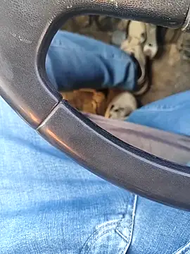 murokkk31 online show from January 8, 8:27 am