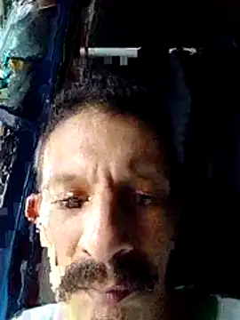 trebollhht online show from December 13, 8:25 pm