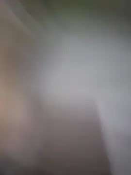 Snapshot of TheSouthernKing chatting on November 22, 1:15 am TheSouthernKing online show from November 22, 1:15 am