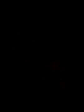 Ory22 online show from November 1, 4:42 pm