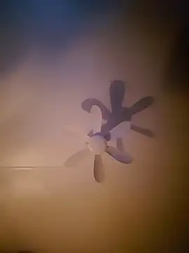 Dorset8360 online show from November 18, 2:17 am