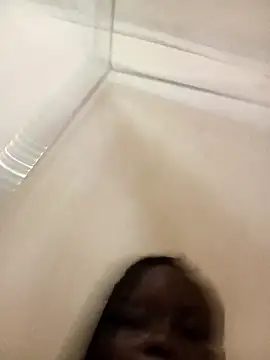 cindysasha11 online show from November 10, 5:45 pm