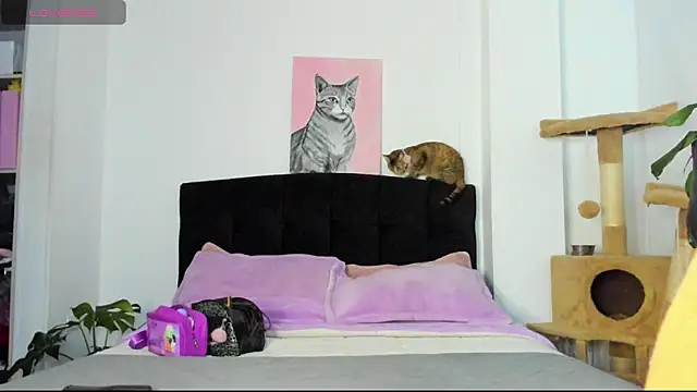 JuliaRose ks online show from March 24, 1:21 am