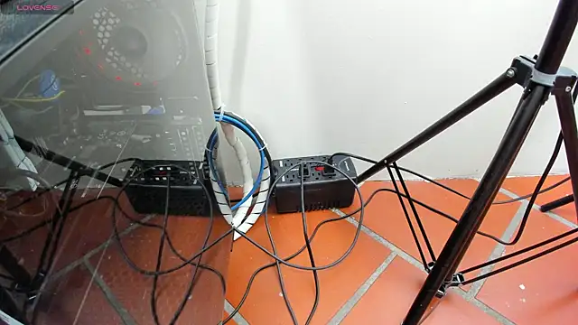 tossetrech online show from December 17, 3:01 am