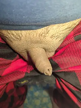 publicsir online show from April 17, 6:22 pm