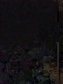 Snapshot of Yoko0381 chatting on June 12, 5:39 am Yoko0381 online show from June 12, 5:39 am
