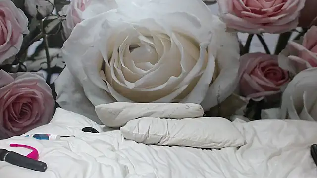 Snapshot of Sexysilverfoxxx chatting on December 3, 4:03 am Sexysilverfoxxx online show from December 3, 4:03 am