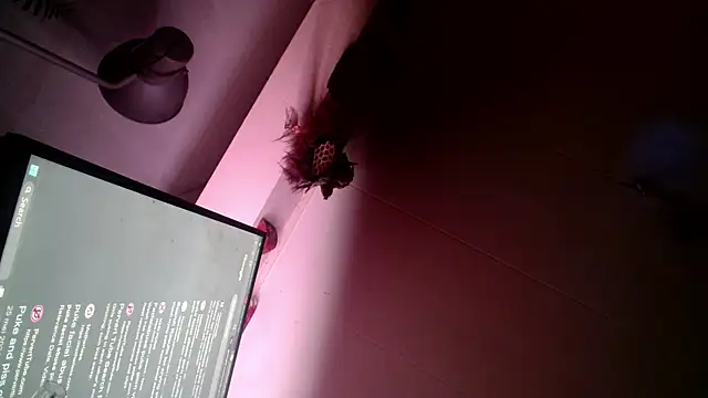 Gigadickman online show from December 13, 6:00 am