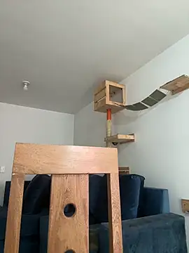 SofiaG  online show from December 27, 7:35 pm