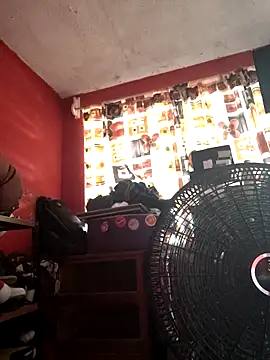 VL25DN26 online show from November 7, 4:51 pm