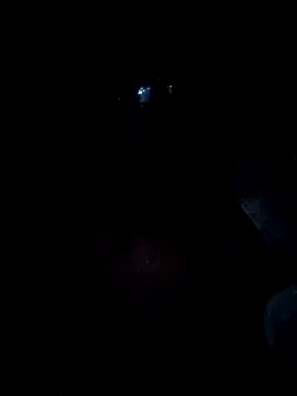 VL25DN26 online show from March 8, 4:05 am