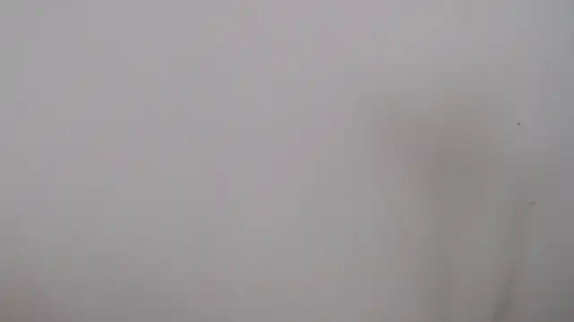 Snapshot of leoytessa_10 chatting on December 5, 9:17 pm leoytessa 10 online show from December 5, 9:17 pm