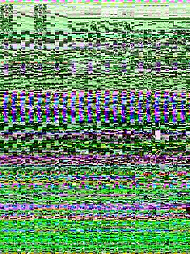 -SHINON- online show from November 9, 11:52 am