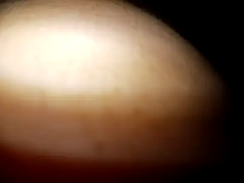 Cheny26 online show from April 8, 3:39 am