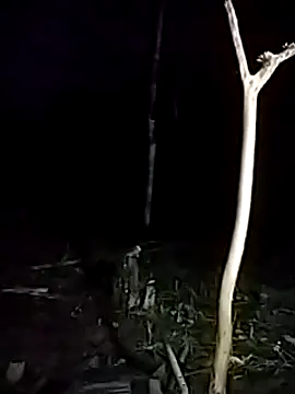 andreu mature online show from March 17, 11:43 pm