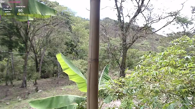 andreu mature online show from October 17, 4:09 pm