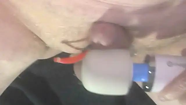 trittico online show from October 9, 1:47 am