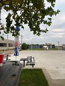 baramadalin online show from November 6, 5:30 am