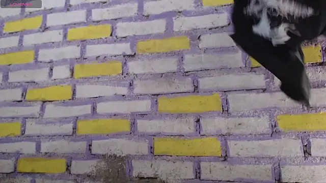 Lukas strong online show from November 8, 2:06 pm