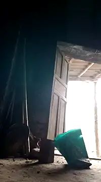 Snapshot of Dina_wet chatting on December 8, 8:20 am Dina wet online show from December 8, 8:20 am