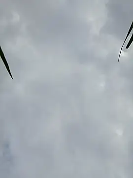 Snapshot of Dina_wet chatting on December 9, 8:44 am Dina wet online show from December 9, 8:44 am