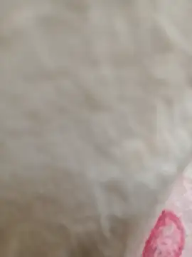 Snapshot of Dina_wet chatting on January 21, 2:43 am Dina wet online show from January 21, 2:43 am