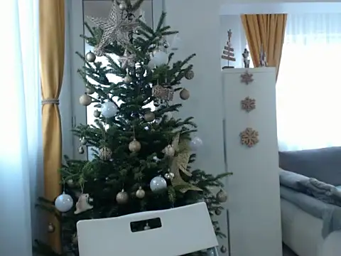 Snapshot of GoldenMark chatting on December 20, 12:05 pm GoldenMark online show from December 20, 12:05 pm