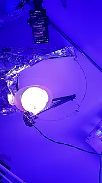 gurlnips online show from September 26, 9:57 am