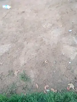 KINGJACKOFF online show from December 26, 3:27 am