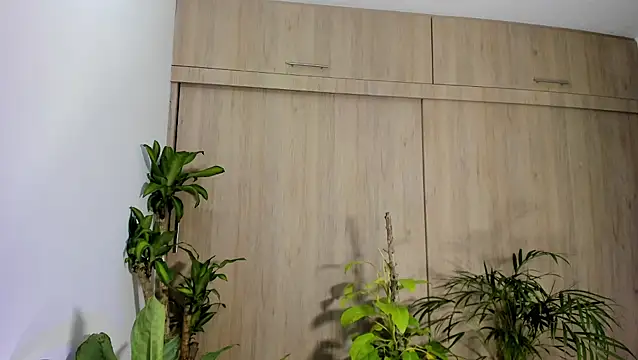 filletatouee online show from November 18, 3:01 am