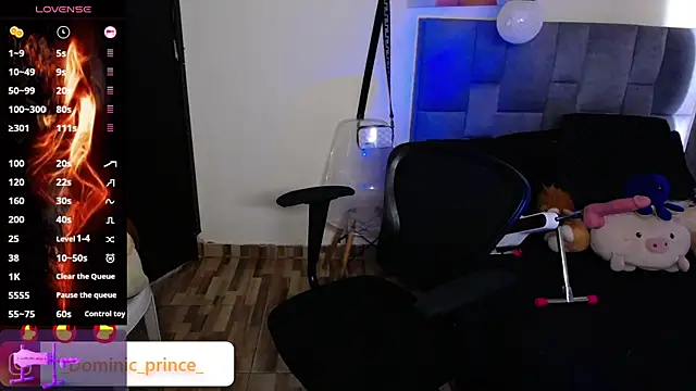 DominicPrince online show from November 24, 7:02 pm