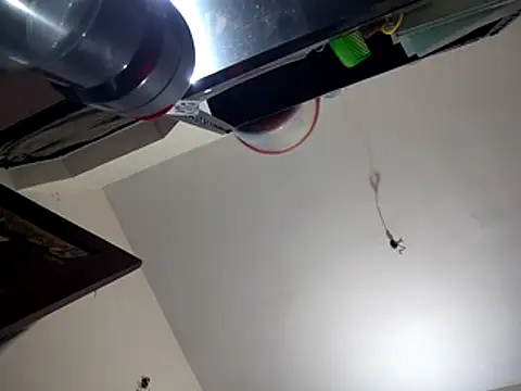 bigvorn6 online show from March 29, 6:24 am