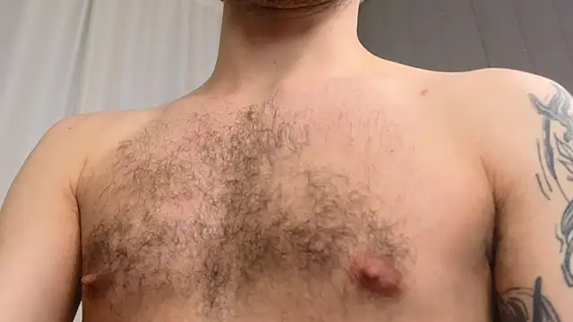 xteddy bear online show from February 27, 2:53 am