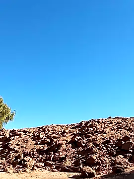 Snapshot of luke_thighwalker2469 chatting on January 13, 8:48 pm luke thighwalker2469 online show from January 13, 8:48 pm