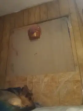 Snapshot of luke_thighwalker2469 chatting on February 15, 1:16 pm luke thighwalker2469 online show from February 15, 1:16 pm