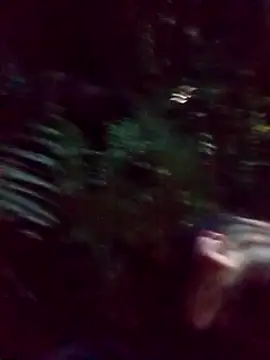 mis312 online show from March 5, 2:36 am