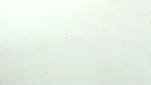 sinay024 online show from February 27, 8:03 am