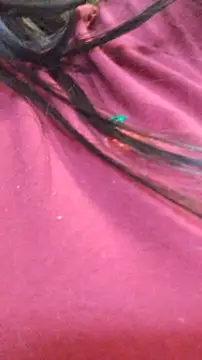 ailyn miranda online show from November 29, 7:50 pm