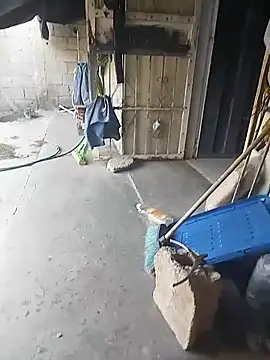 SheandDog online show from December 18, 7:19 pm