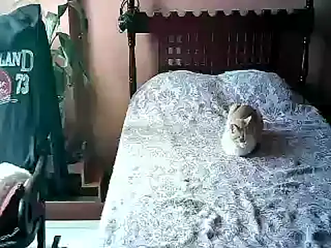 2mgars online show from January 17, 4:11 pm