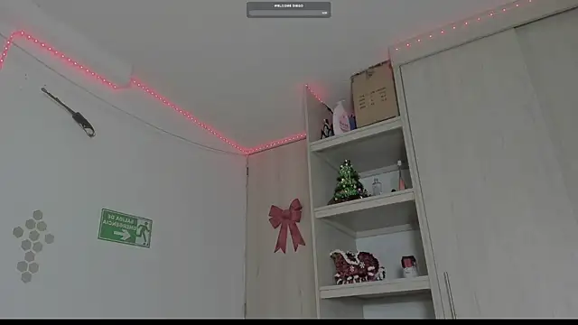  diegsz  online show from January 10, 9:55 am