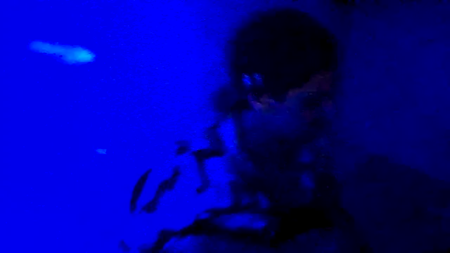 couplemilk online show from April 6, 4:10 am