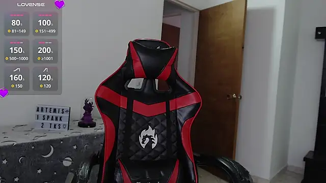 Snapshot of ArtemisNature chatting on February 6, 8:34 pm ArtemisNature online show from February 6, 8:34 pm