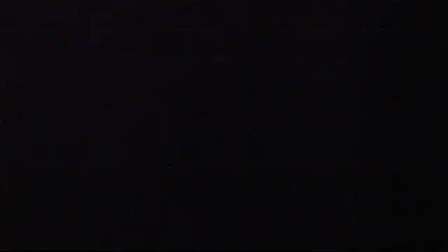 JANER 03 online show from January 26, 3:58 pm